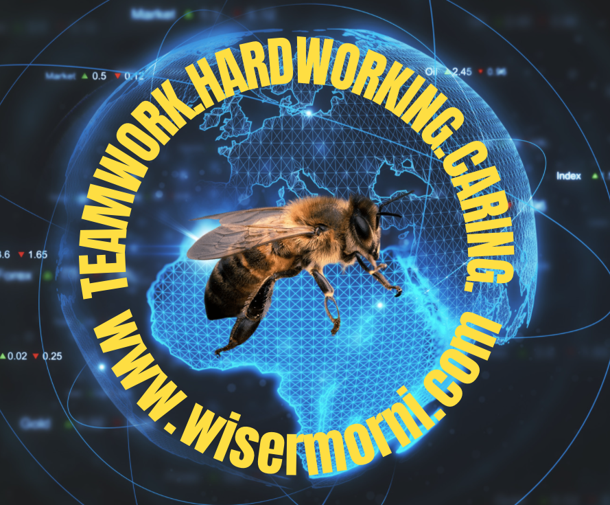 logo img